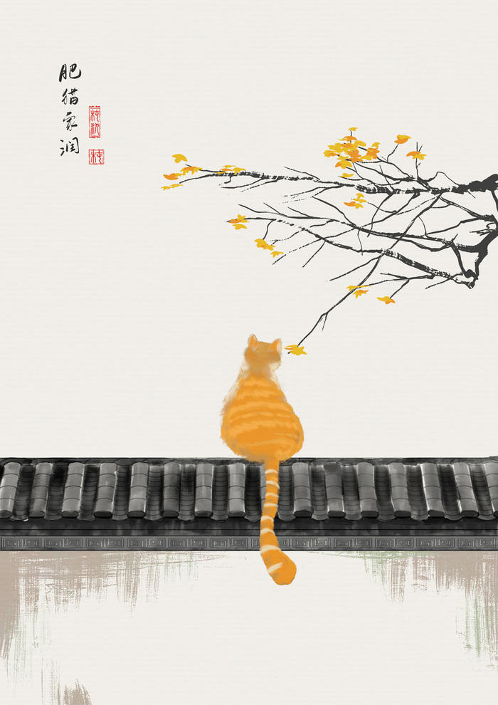 一只猫的春夏秋冬插画图片壁纸