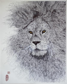 《凝-狮》插画图片壁纸