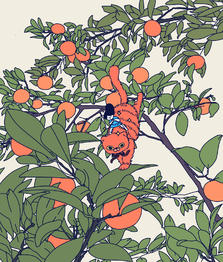 橘子树插画图片壁纸