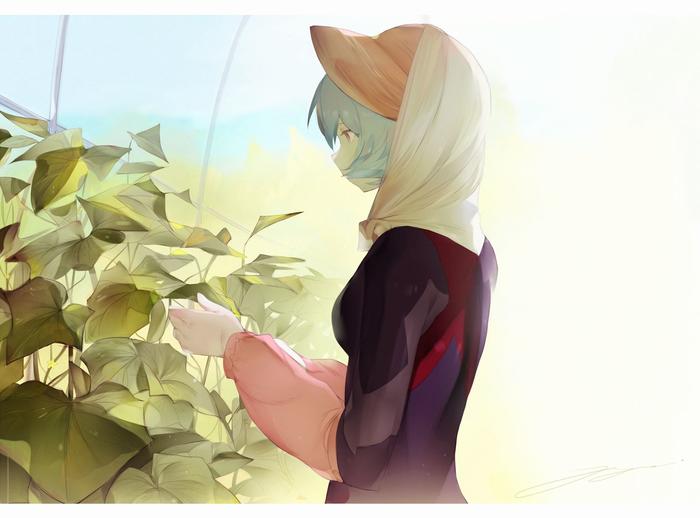 Rei Ayanami插画图片壁纸