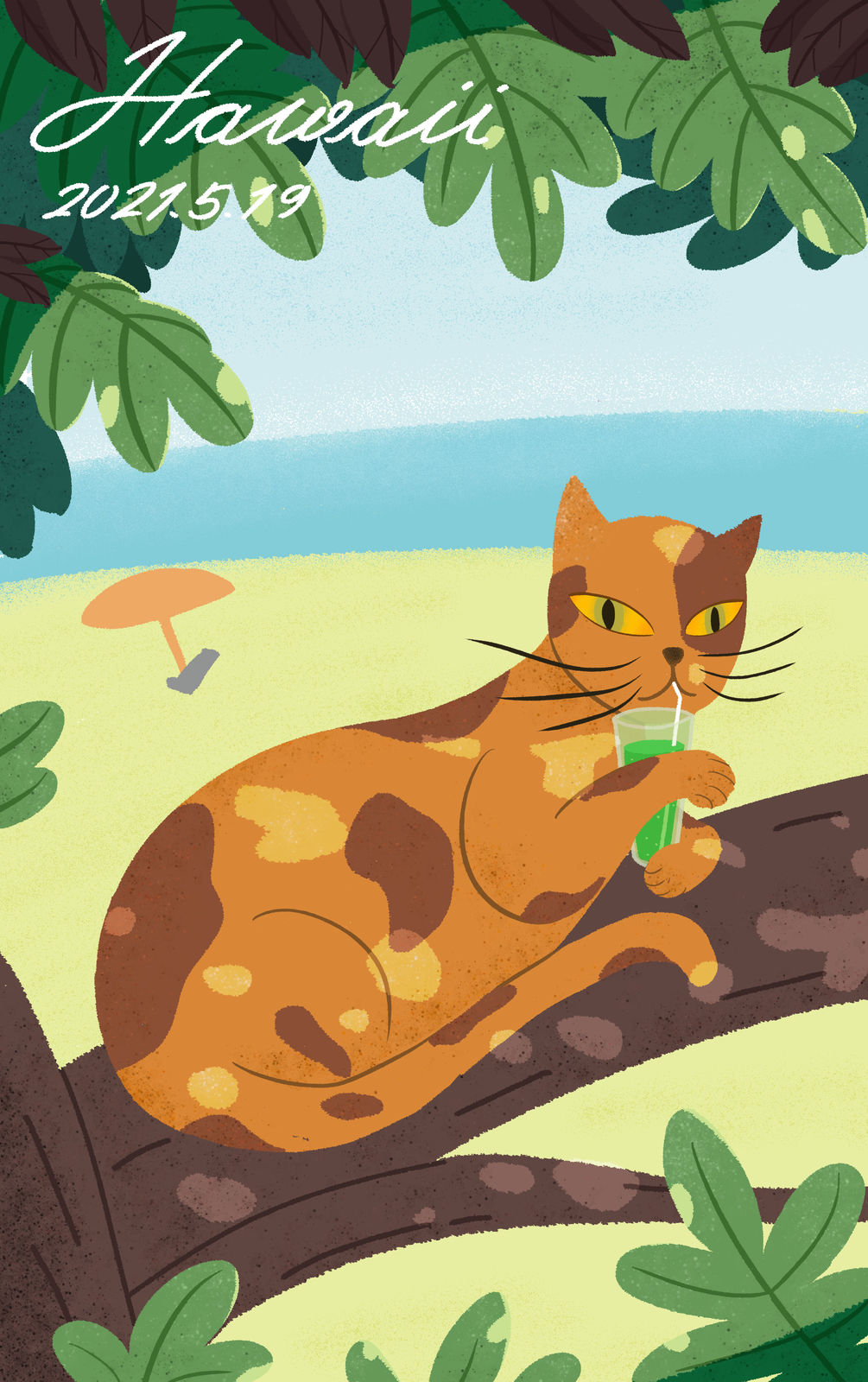 夏威夷插画图片壁纸