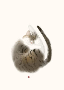 是自己家猫猫呀插画图片壁纸