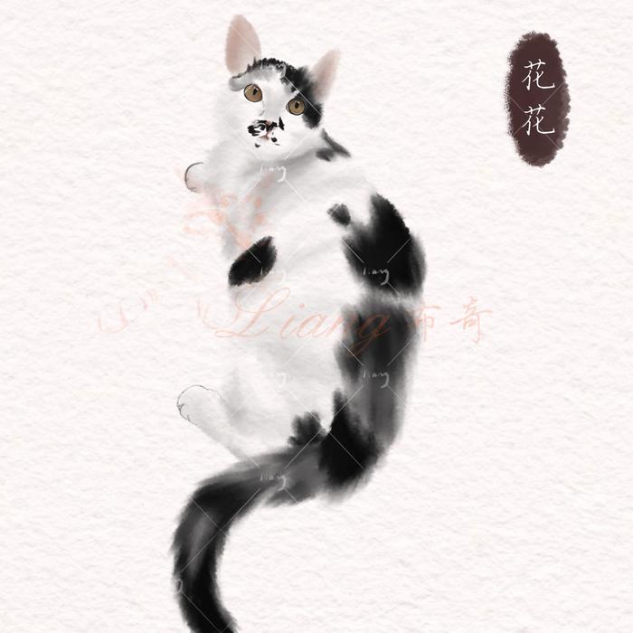 猫猫插画图片壁纸