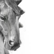 马头，质感插画图片壁纸