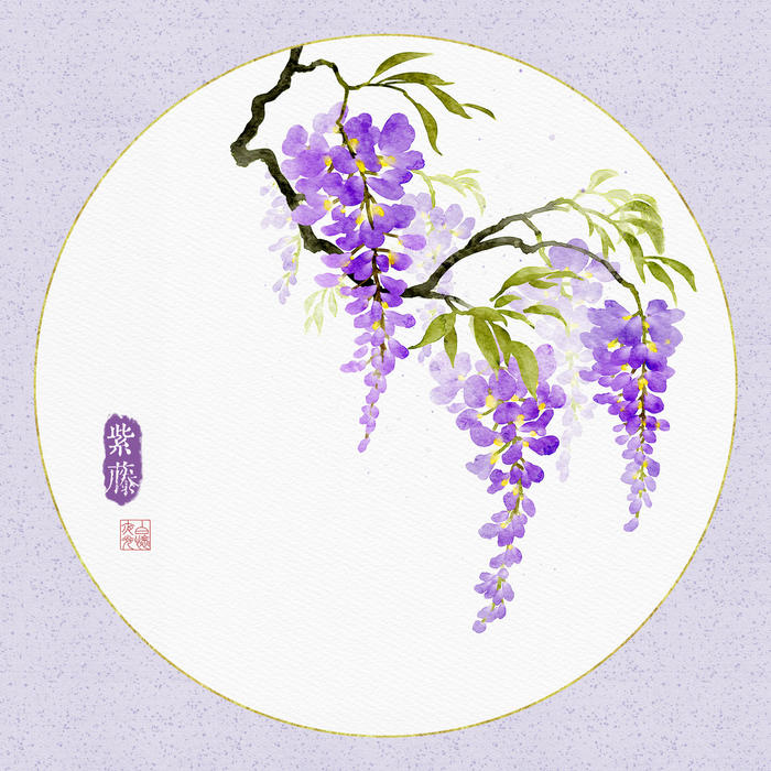 紫藤插画图片壁纸