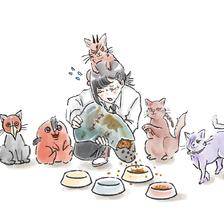 猫之日插画图片壁纸