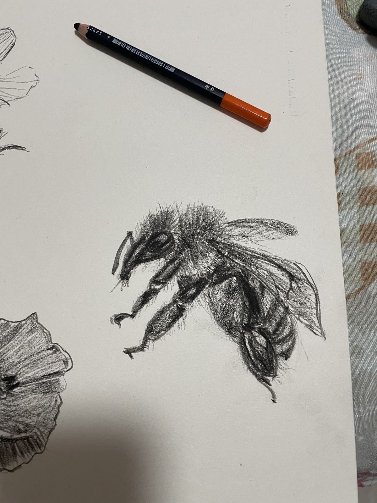 蜜蜂插画图片壁纸