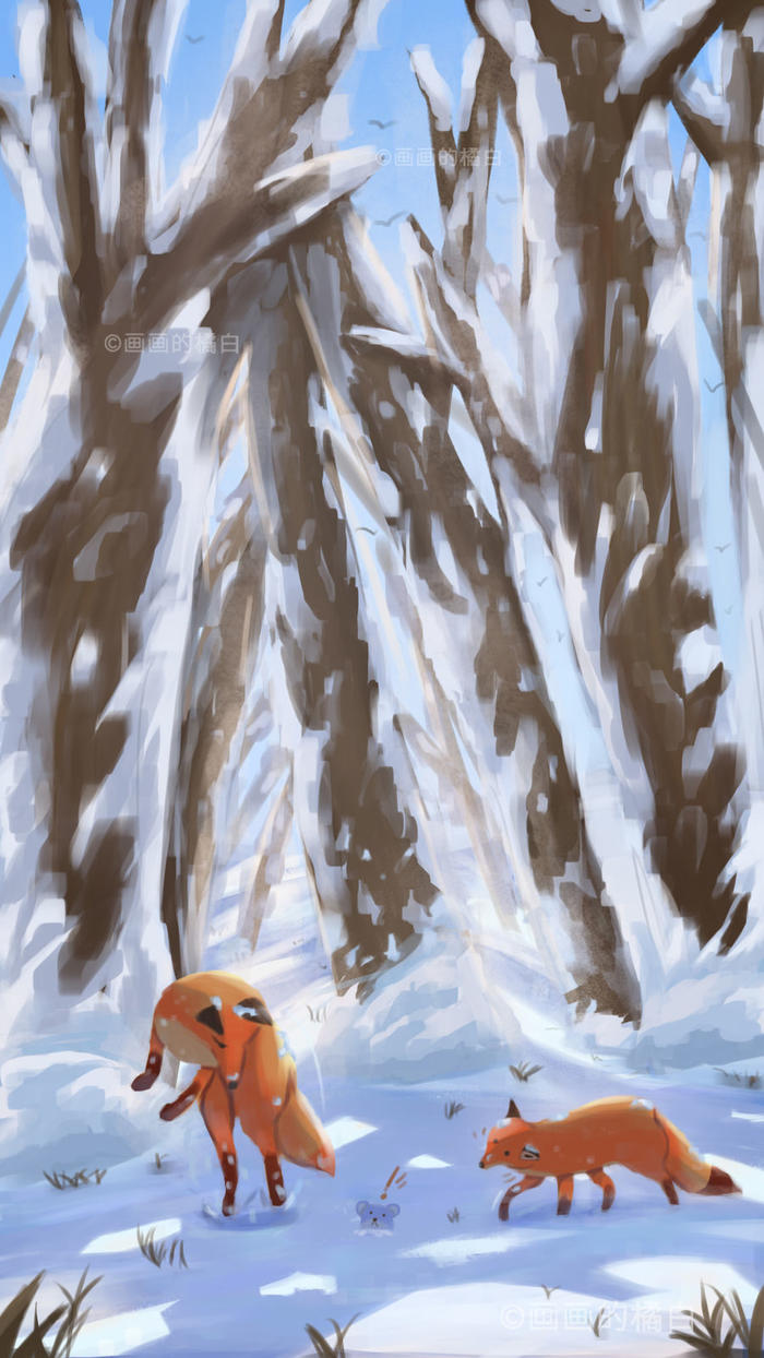 大雪赤狐插画图片壁纸