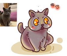 猫猫插画-国风插画猫咪