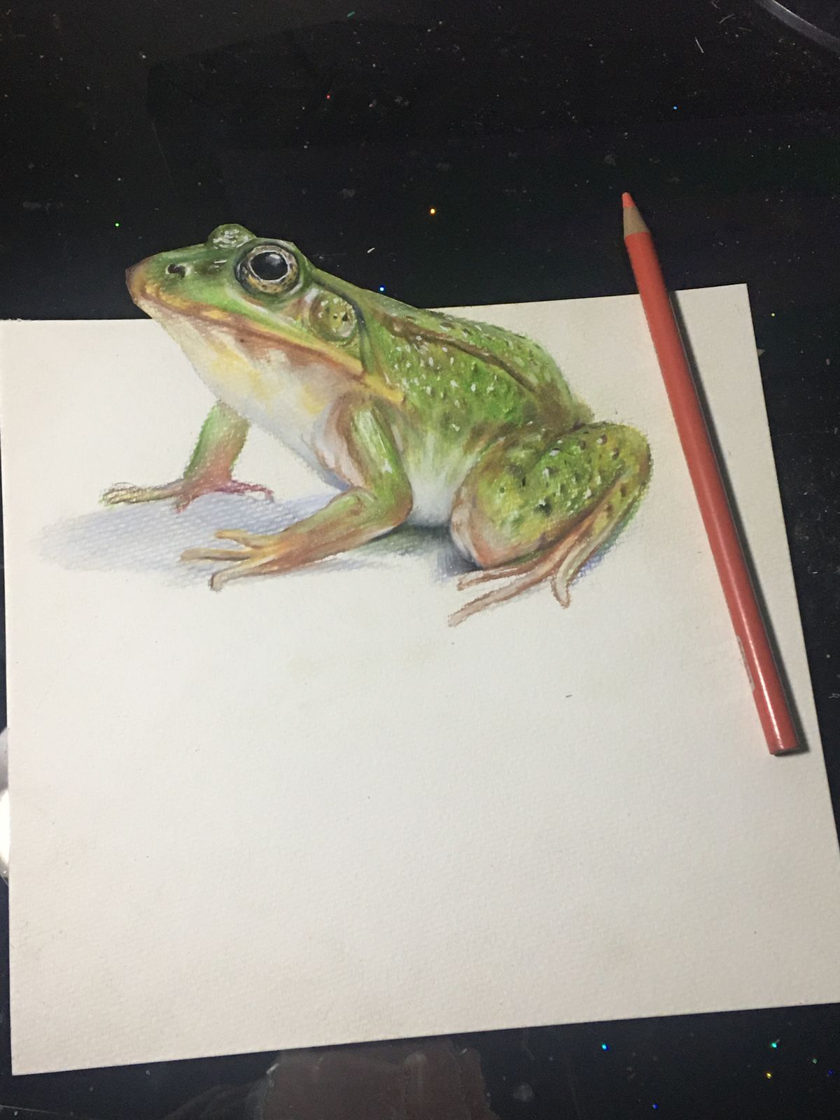 彩铅小青蛙插画图片壁纸