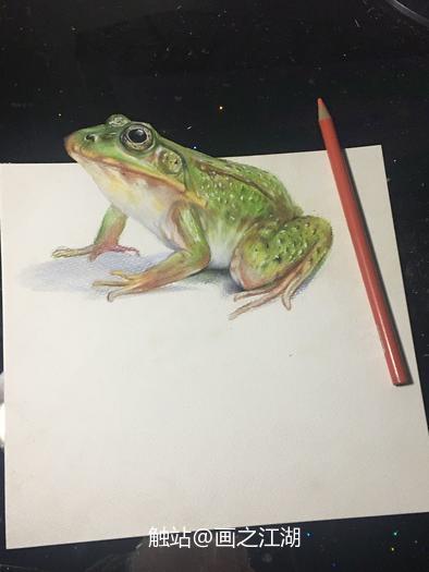 彩铅小青蛙插画图片壁纸