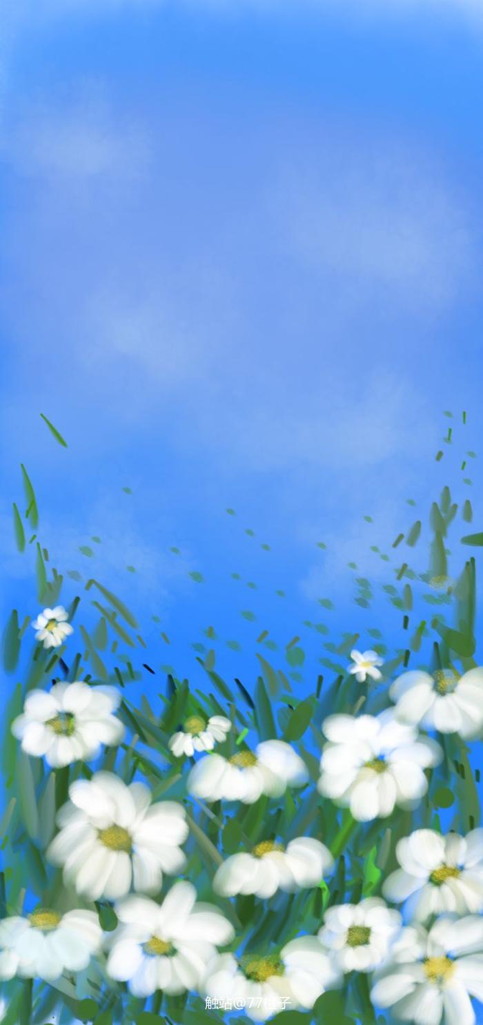 雏菊插画图片壁纸
