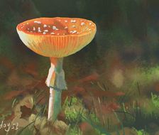 一朵蘑菇-色彩速途横图