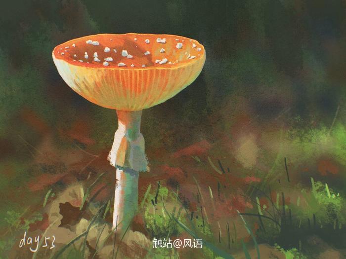 一朵蘑菇插画图片壁纸