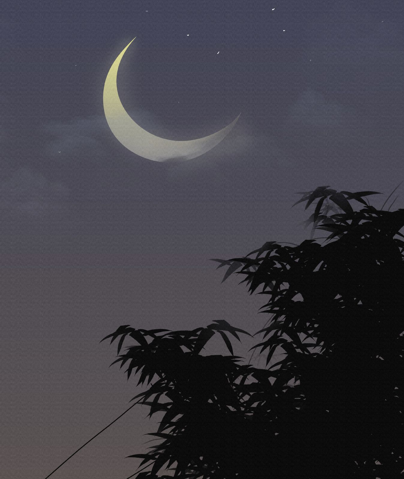 夜色撩人-夜色月亮