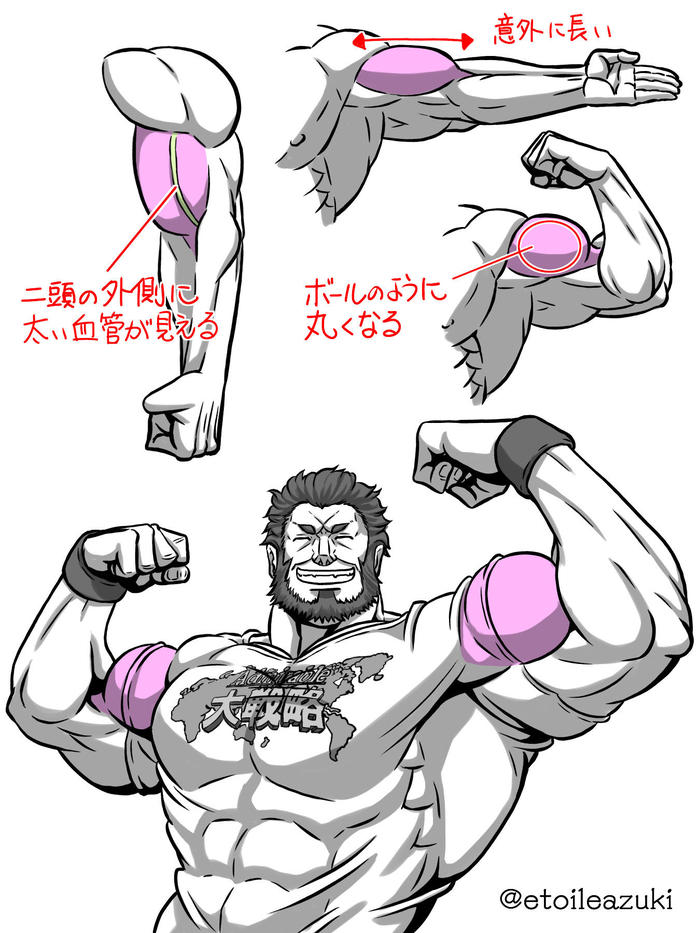 Twitter日志【手臂周围的肌肉】插画图片壁纸