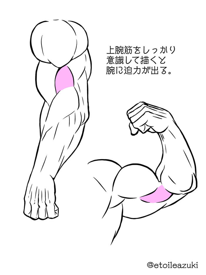 Twitter日志【手臂周围的肌肉】插画图片壁纸