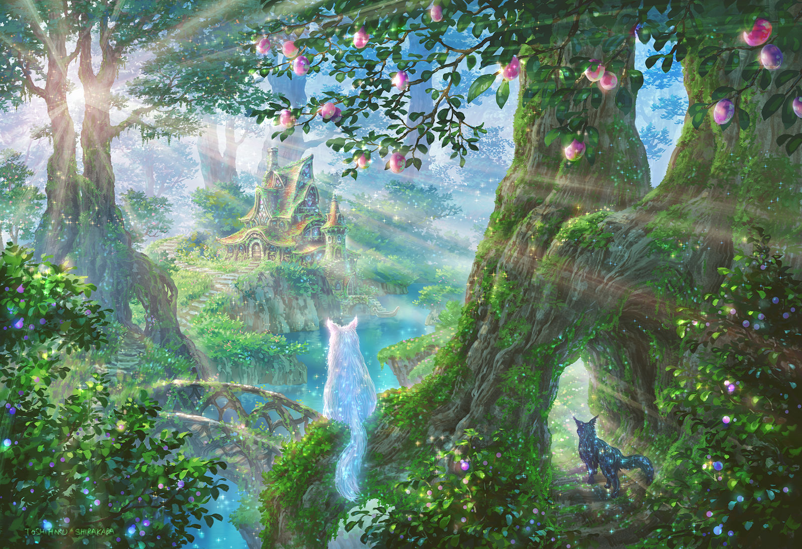 Magical forest插画图片壁纸