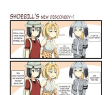 Shoebill's New discovery~!