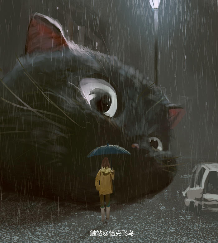 雨中的大猫插画图片壁纸