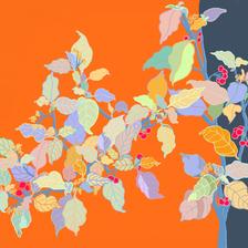 植物-第118片叶子插画图片壁纸