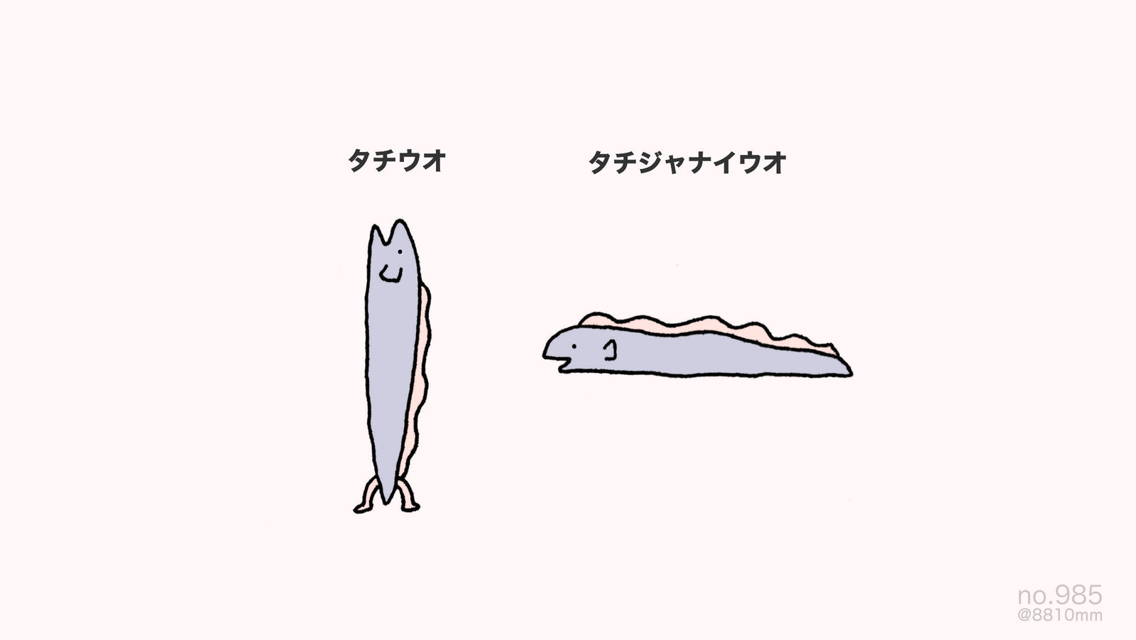 龙鱼-タチウオ鱼
