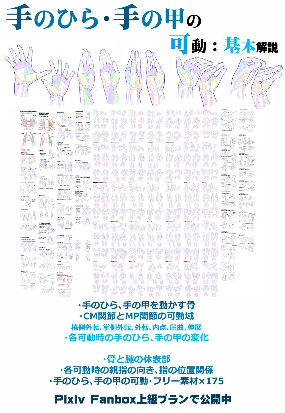 手掌和手背的可动：FANOBX公开中插画图片壁纸