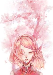 桜插画图片壁纸