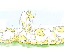 羊群-ヒツジ羊驼