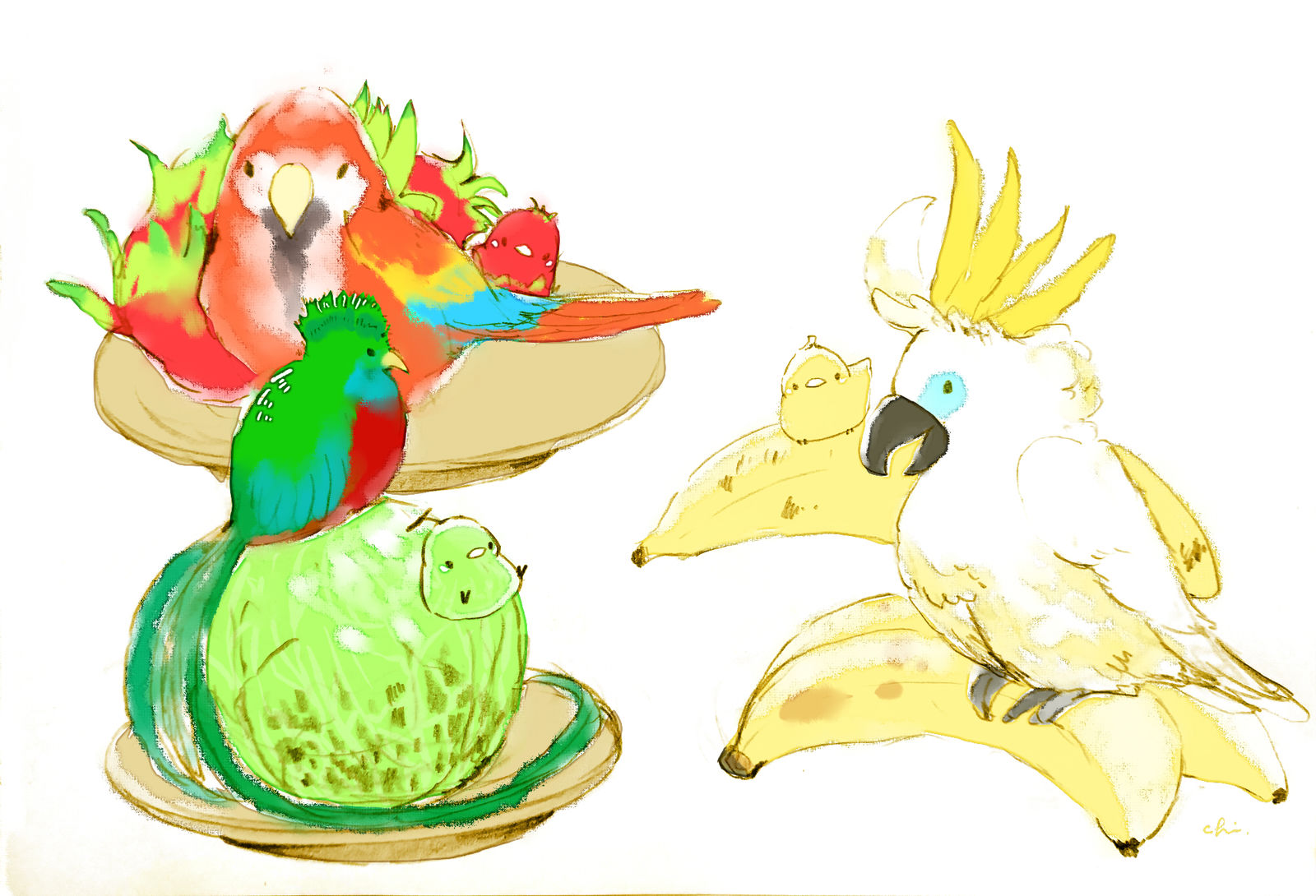 配南国水果鸟插画图片壁纸