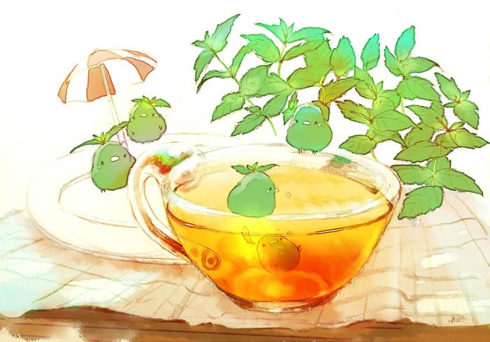 冰香草茶插画图片壁纸