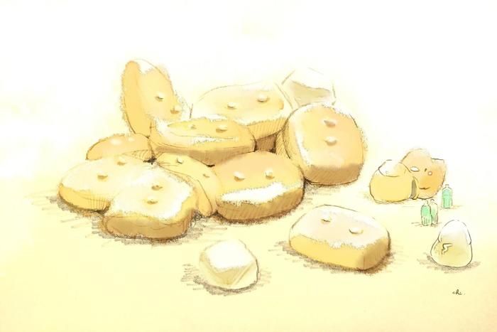 干面包和冰糖插画图片壁纸