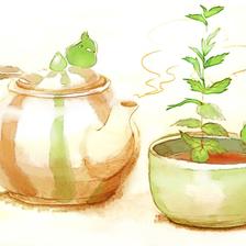 生长的香草茶插画图片壁纸