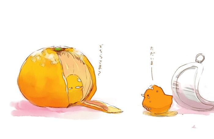 罐头橘子插画图片壁纸