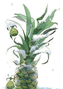 等待春天的菠萝插画图片壁纸