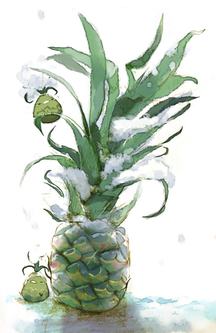 等待春天的菠萝插画图片壁纸