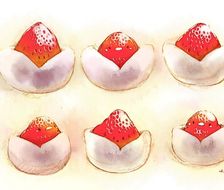 草莓大福-原创すいーとり