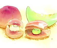 桃马苏里拉和生火腿甜瓜