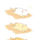 金黄色的猫