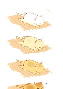 金黄色的猫插画图片壁纸