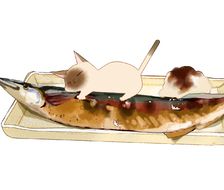 秋刀鱼-原创美味的食物