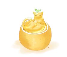 猫柚子果冻-原创美味的食物