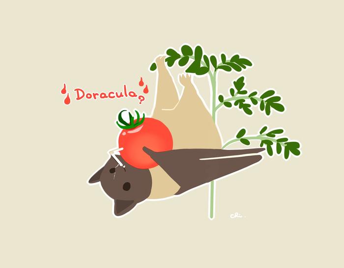 水果棒和迷你番茄插画图片壁纸