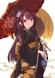 WA2000插画图片壁纸