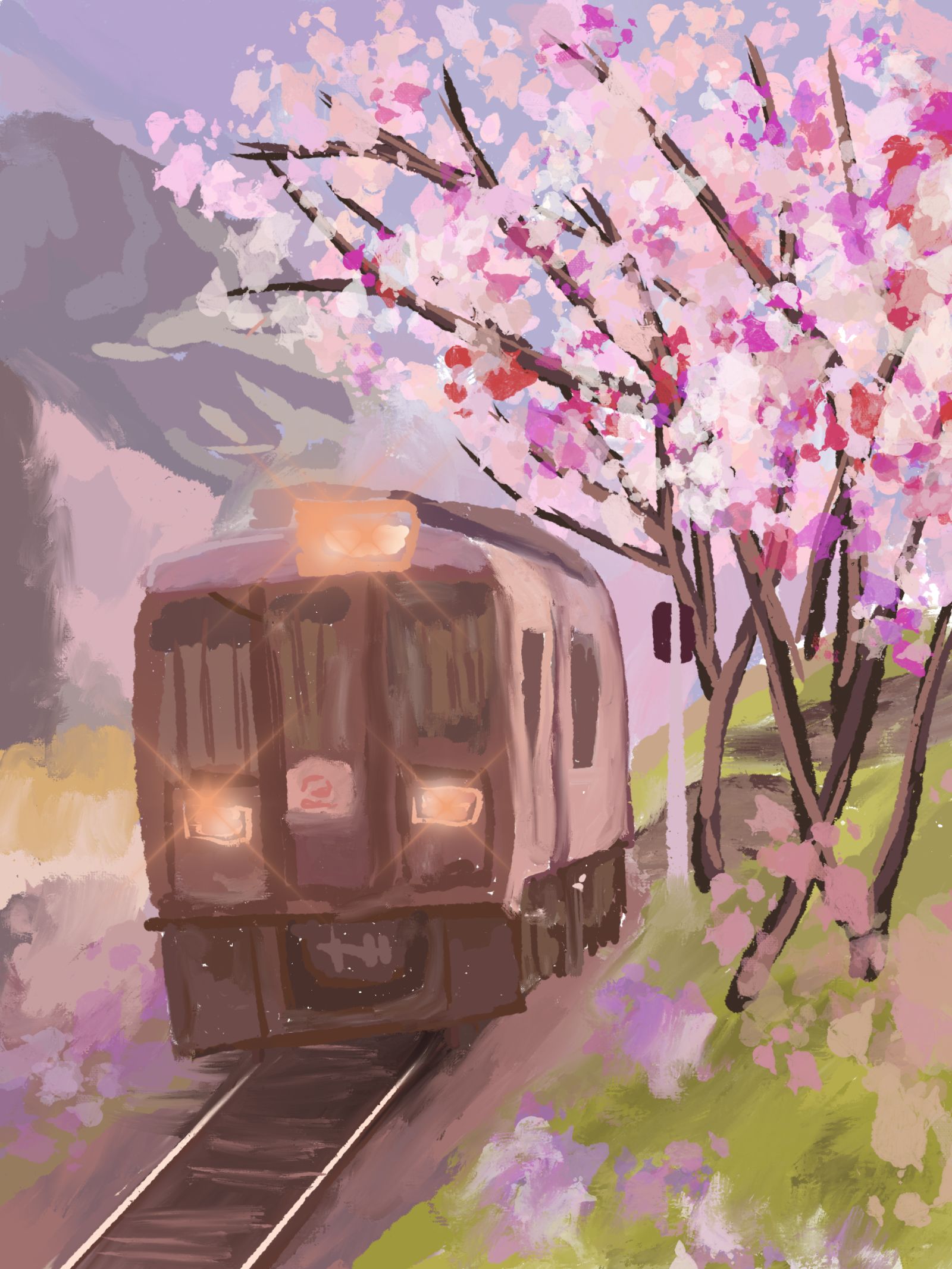 樱花下的火车插画图片壁纸