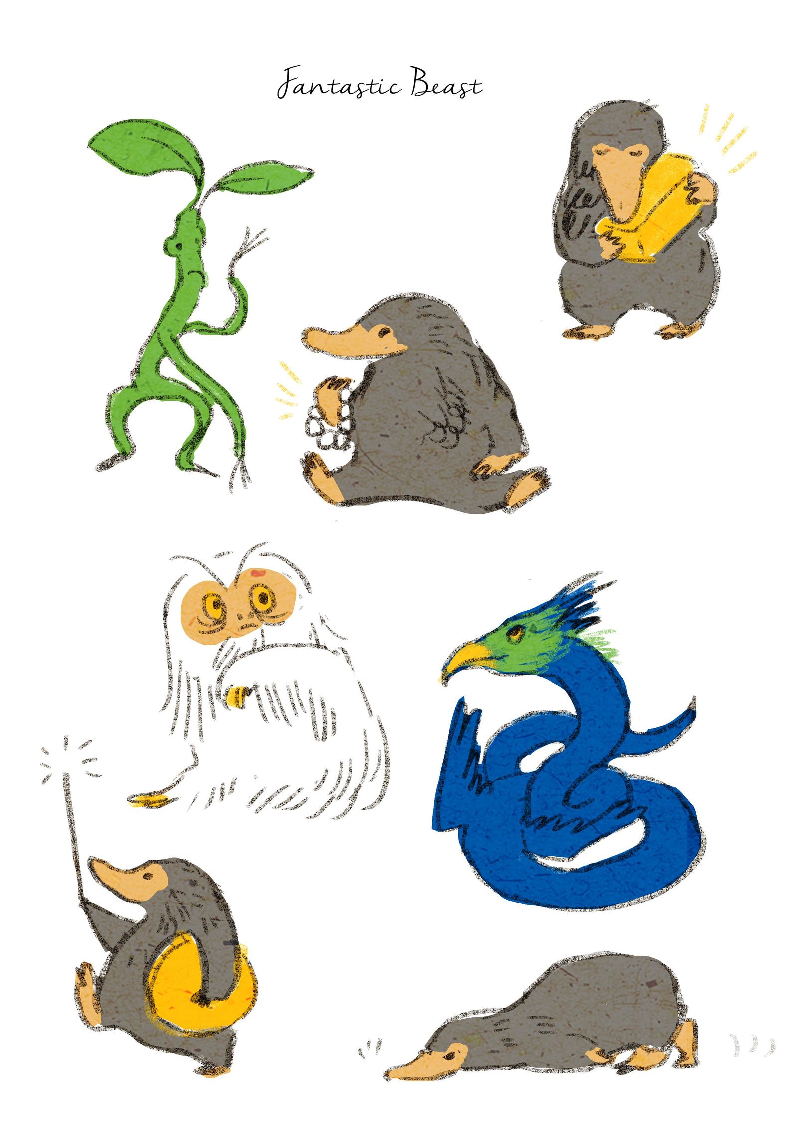 神奇动物插画图片壁纸