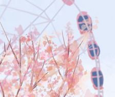 樱花系列插画-樱花春季