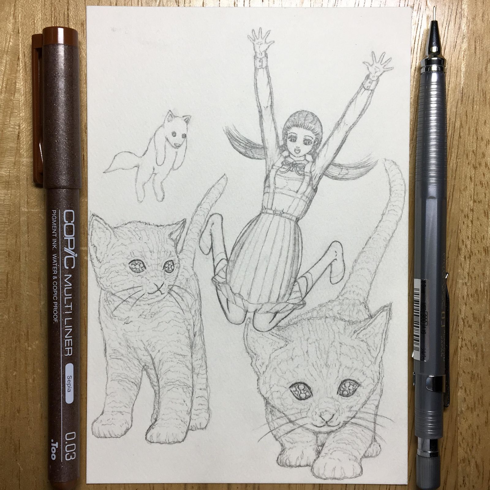 猫王子、帕姆卡莱石灰棚和恩迪内插画图片壁纸