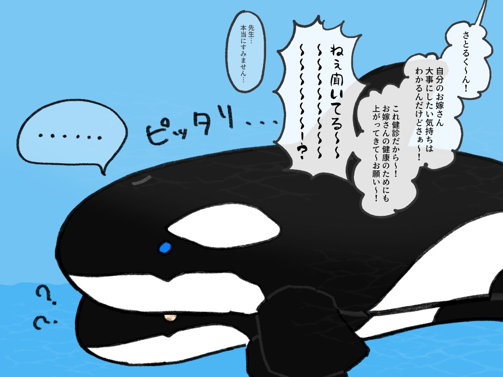 【概念五悠】某水族馆饲养员帕罗⑧～⑩总结插画图片壁纸