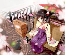 猫、樱花和袴少女